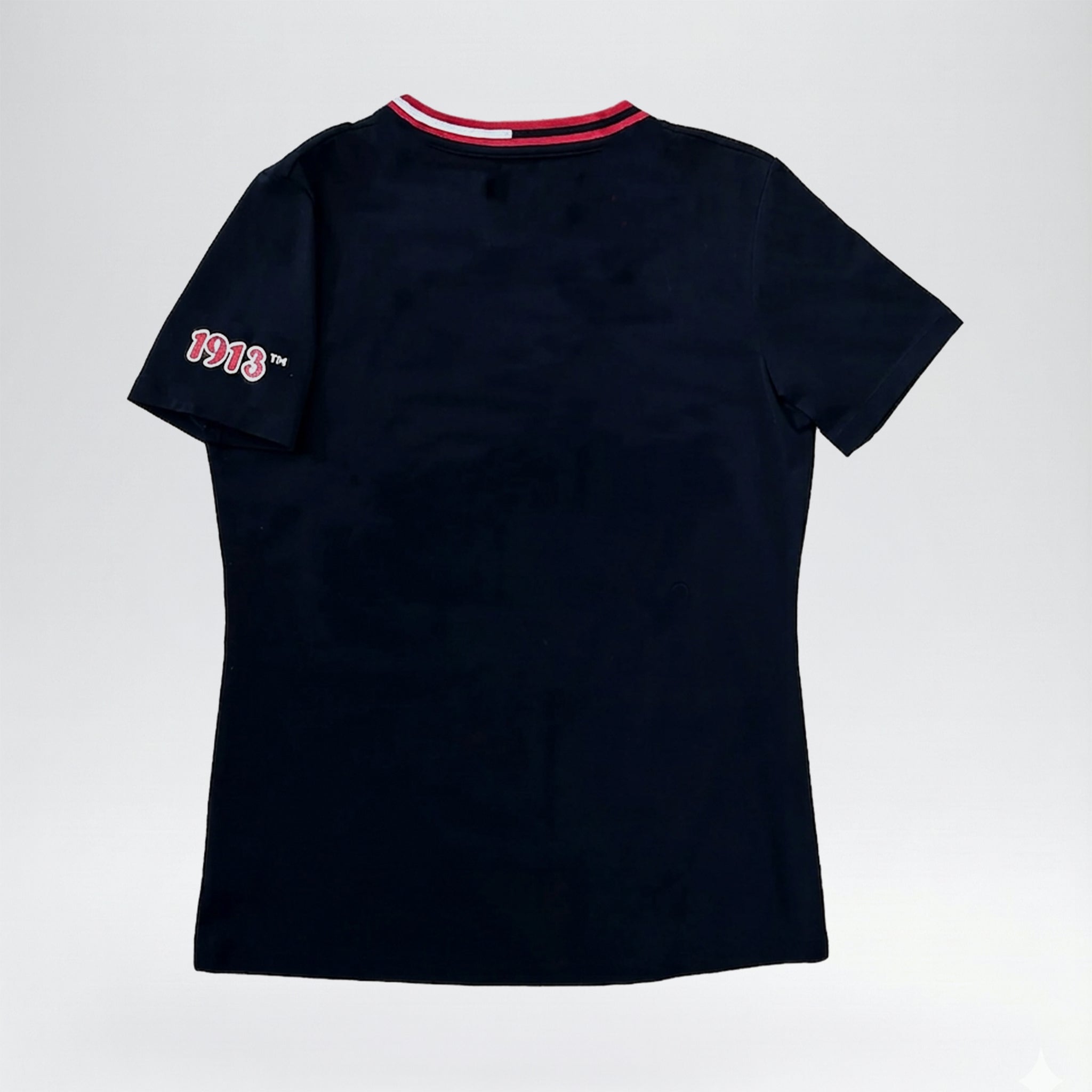 [PRE ORDER] Delta Sigma Theta Glitter V-Neck Shirt – DST 1913 Official Licensed Sorority T-Shirt for Women (Black)
